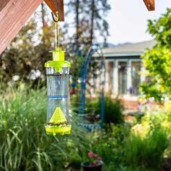 RESCUE Yellowjacket & Wasp Trap 1 Pk -Toro Shop 52ac9cf5 b46e 4db3 a6c5 f3eaccb441f5