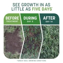 Pennington Smart Patch Mixed Sun Or Shade Seed/Fertilizer/Mulch Repair Kit 10 Lb -Toro Shop 58dd8cf3 93af 4c94 90d0 92b8c6f88325