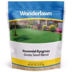 Barenbrug Wonderlawn Perennial Ryegrass Partial Shade/Sun Grass Seed Blend 10 Lb