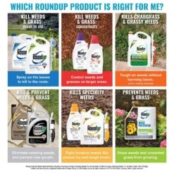 Roundup Weed And Grass Killer Concentrate 0.5 Gal -Toro Shop 5b311b49 25d8 4c84 935e e5d0f0e079ad
