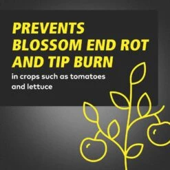 General Hydroponics Calimagic Liquid Plant Supplement 1 Qt -Toro Shop 5c28d3c9 06c0 48d7 b103 8fc574f2791a