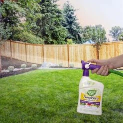 Garden Safe Fungicide3 Organic Fungicide/Insecticide/Miticide Liquid 28 Oz -Toro Shop 5ef4c21d a062 4012 bf6c 743d2397031f