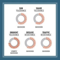 Pennington Smart Seed Pennsylvania State Mixed Sun Or Shade Grass Seed And Fertilizer 3 Lb -Toro Shop 625b7c07 64be 4ec0 b09f 6290bd3caf93