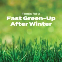 Scotts Turf Builder Halts Crabgrass Preventer Lawn Fertilizer For Multiple Grass Types 15000 Sq Ft -Toro Shop 6382bc34 15b9 4010 a91b 7a56d6e0d373