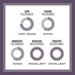 Pennington Annual Ryegrass Sun Or Shade Grass Seed 10 Lb -Toro Shop 68e4049b a767 4865 a81c 6e4083faf00c