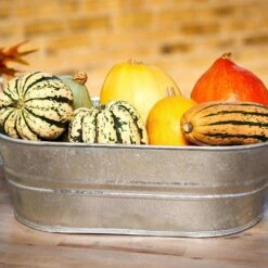 Behrens 16 Gal Steel Tub Oval 14 Behrens 16 Gal Steel Tub Oval -Toro Shop 6a4f2ab0 3f48 4631 89db 50dfd5848415