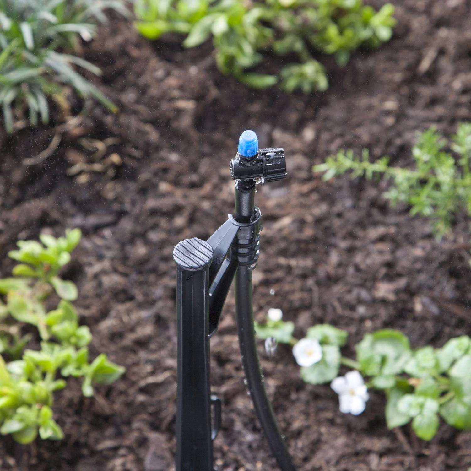 Raindrip Half-Circle Drip Irrigation Micro Spray 20 Gph 10 Pk 2 Raindrip Half-Circle Drip Irrigation Micro Spray 20 Gph 10 Pk - Image 2