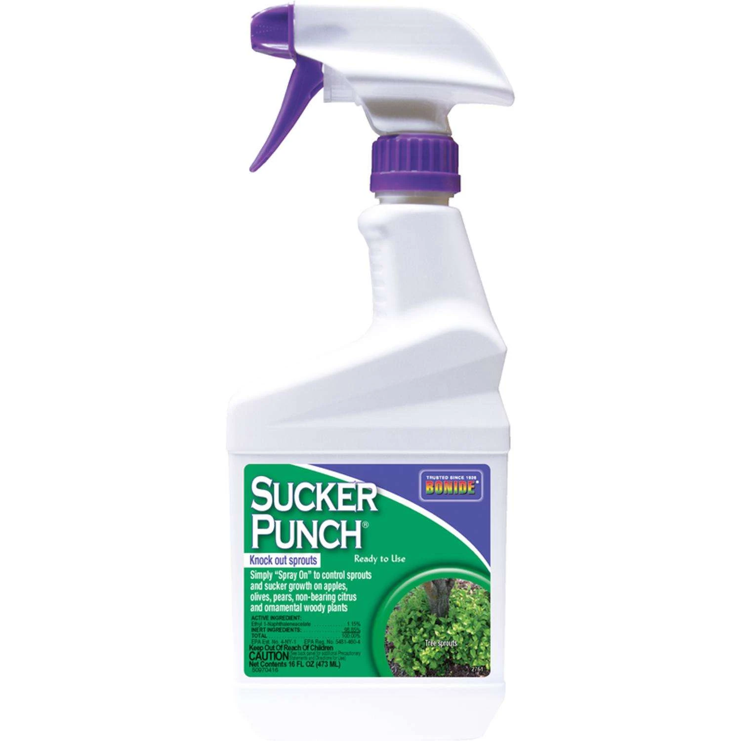 Bonide Sucker Punch Tree Roots Killer RTU Liquid 16 Oz 1 Bonide Sucker Punch Tree Roots Killer RTU Liquid 16 Oz
