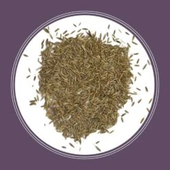 Pennington Annual Ryegrass Full Sun/Light Shade Grass Seed 50 Lb -Toro Shop 6d7fd65c 6660 4e8e a356 debd2cfd8299