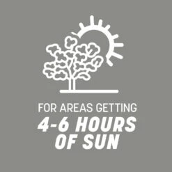 Pennington Contractors Mix Sun Or Shade Grass Seed 20 Lb -Toro Shop 72b91a31 823f 4489 a26c 8b41a6f61fae