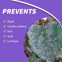 Bonide Infuse Concentrated Liquid Disease Control 16 Oz -Toro Shop 72e22a14 d0f4 4463 bac7 adbfc121dd69