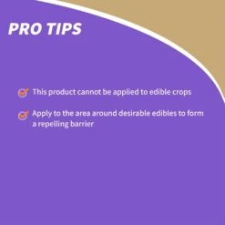 Bonide Animal Repellent Liquid For Chipmunks And Squirrels 32 Oz -Toro Shop 72f20583 74d7 4a17 879b b78d6f2604a6