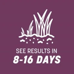 Pennington The Rebels Tall Fescue Grass Partial Shade/Sun Grass Seed 20 Lb -Toro Shop 74777ce7 d622 4cbd 86bd 3d98435e7254