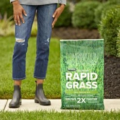Scotts Turf Builder Rapid Grass Tall Fescue Grass Sun Or Shade Grass Seed And Fertilizer 16 Lb -Toro Shop 764d9dc9 ca24 409e 965d c5d51bf566de