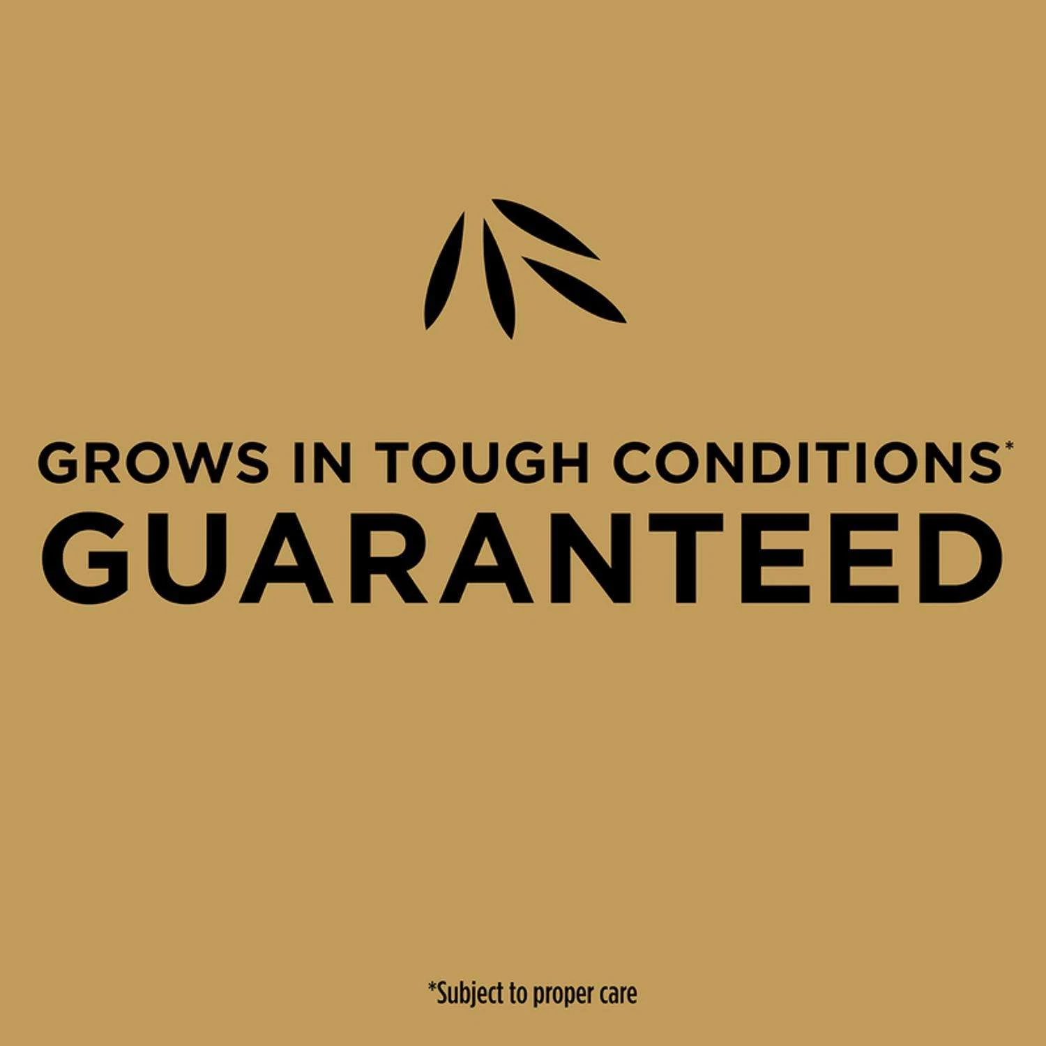 Scotts EZ Seed Bermuda Grass Sun Or Shade Grass Spot Repair Seed 10 Lb 6 Scotts EZ Seed Bermuda Grass Sun Or Shade Grass Spot Repair Seed 10 Lb - Image 6