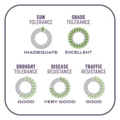 Pennington Smart Patch Mixed Dense Shade Seed/Fertilizer/Mulch Repair Kit 5 Lb -Toro Shop 790af264 1ec2 49ef a80f 9f66c4e75097