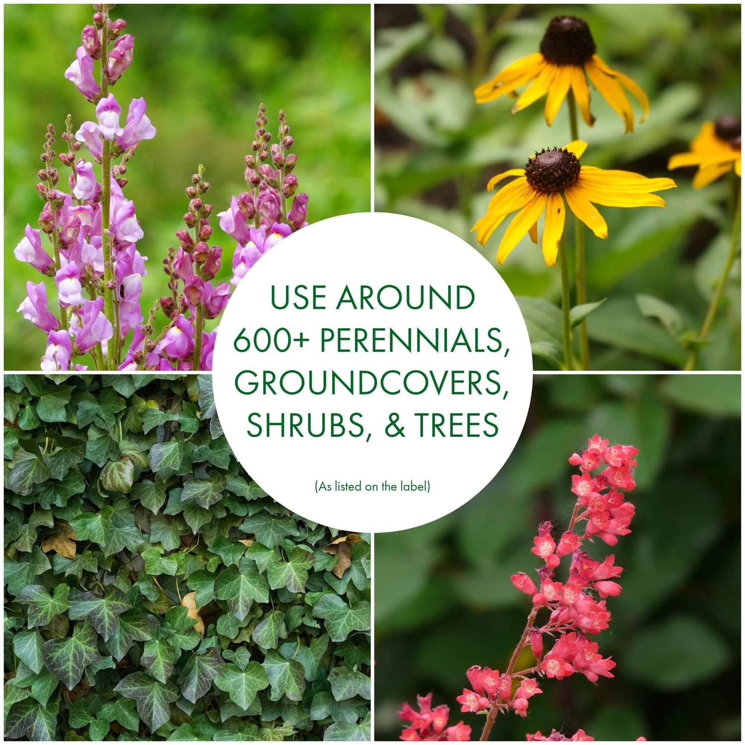 Preen Weed Preventer Granules 10 Lb 6 Preen Weed Preventer Granules 10 Lb - Image 6