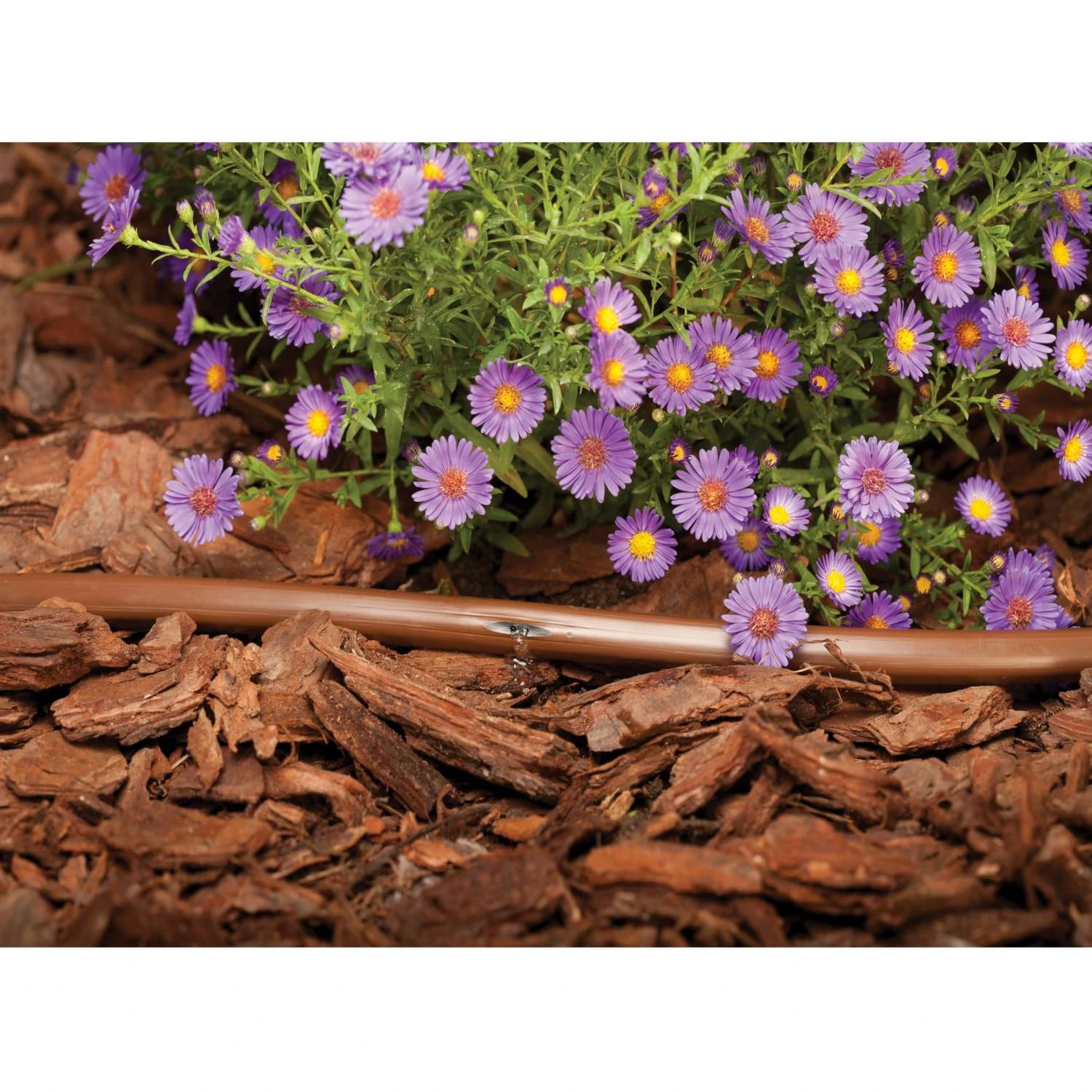 Rain Bird Polyethylene Drip Irrigation Emitter Tubing 1/2 In. D X 100 Ft. L 3 Rain Bird Polyethylene Drip Irrigation Emitter Tubing 1/2 In. D X 100 Ft. L - Image 3