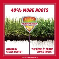 Pennington The Rebels Tall Fescue Grass Sun Or Shade Grass Seed 3 Lb -Toro Shop 7be45f97 b64c 48bf 92aa 956eeb48bfe1