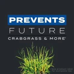 Scotts Turf Builder Triple Action Weed & Feed Lawn Fertilizer For Multiple Grass Types 12000 Sq Ft 13 Scotts Turf Builder Triple Action Weed & Feed Lawn Fertilizer For Multiple Grass Types 12000 Sq Ft -Toro Shop 7f0a59b0 39b3 4e49 af57 b8686ef3324b