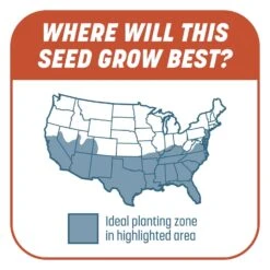 Pennington Smart Patch Bermuda Grass Full Sun Seed/Fertilizer/Mulch Repair Kit 5 Lb -Toro Shop 8040f828 5bfb 485b a2bb 89c49cc9c6cb