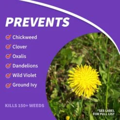 Bonide Chickweed Killer RTU Liquid 128 Oz -Toro Shop 8196187b 85d2 41ed 9028 d399988b7322