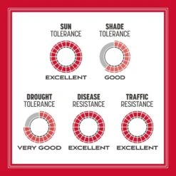 Pennington The Rebels Tall Fescue Grass Sun Or Shade Grass Seed 20 Lb -Toro Shop 82a568c4 32a2 4b00 a5ce 5c916740ad37