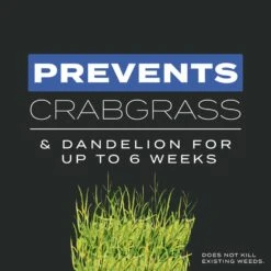 Scotts Turf Builder Pre Emergent Preventer & Fertilizer Lawn Fertilizer For All Grasses 1000 Sq Ft -Toro Shop 8395a886 7aea 42d0 9b17 7548f0cf280a