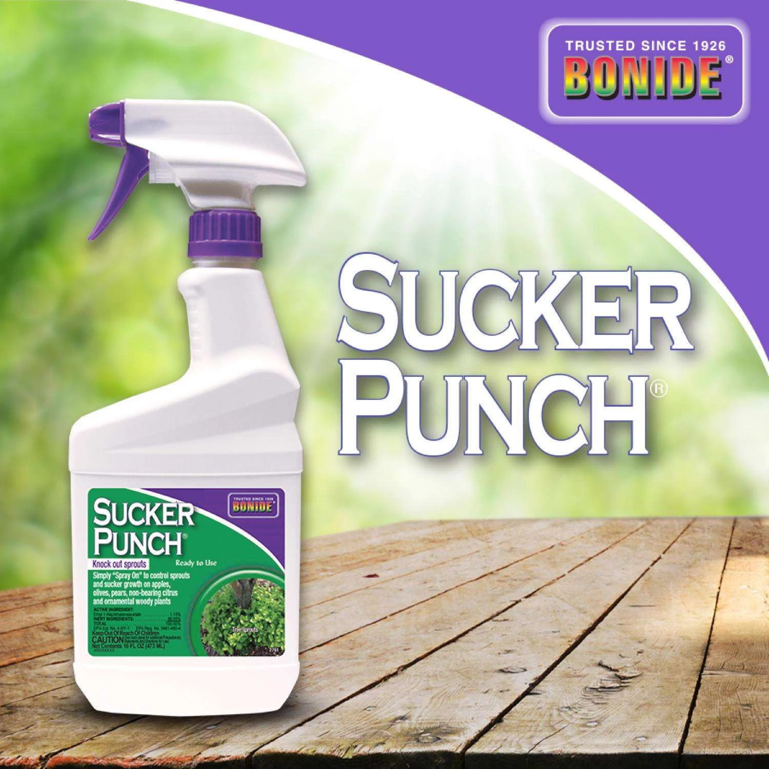 Bonide Sucker Punch Tree Roots Killer RTU Liquid 16 Oz 3 Bonide Sucker Punch Tree Roots Killer RTU Liquid 16 Oz - Image 3