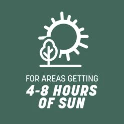 Pennington Kentucky 31 Tall Fescue Grass Sun Or Shade Grass Seed 40 Lb -Toro Shop 871f212c b7a9 402c 86aa da47328d210f