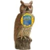 Dalen Scarecrow Owl Animal Repellent Decoy For All Pests