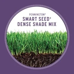 Pennington Smart Seed Mixed Dense Shade Grass Seed And Fertilizer 3 Lb -Toro Shop 8a54d2ba 9eda 421c 9f60 c805b9d7f991