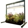 Hydrofarm Jump Start Hydroponic Grow Light 24 W
