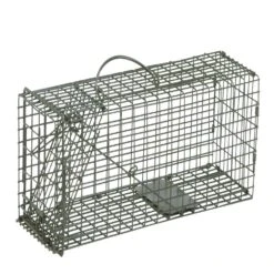 Duke Small Live Catch Cage Trap For Squirrels 1 Pk