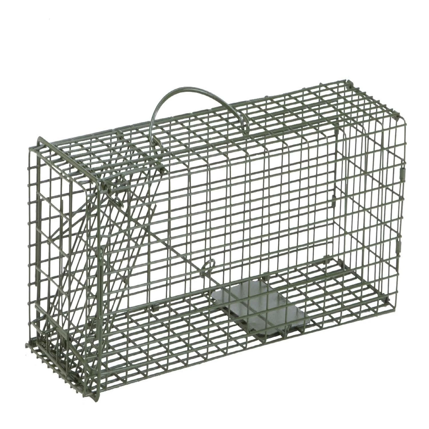 Duke Small Live Catch Cage Trap For Squirrels 1 Pk 1 Duke Small Live Catch Cage Trap For Squirrels 1 Pk