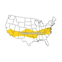 Barenbrug Wonderlawn Tall Fescue Grass Sun Or Shade Grass Seed Blanket -Toro Shop 900d6e66 2746 41e8 8325 86d18a86cd57