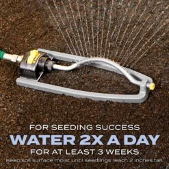 Scotts Turf Builder Heat-Tolerant Blue Sun Or Shade Fertilizer/Seed/Soil Improver 5.6 Lb -Toro Shop 93f39a3f 1c38 4161 8bc7 d43057a3a09f