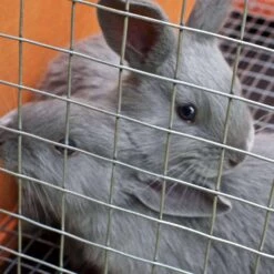 IronRidge 24 In. H X 15 Ft. L Galvanized Steel Welded Wire Fence 1 In. -Toro Shop 94c21263 4fa2 4994 abbf 7ed31b73f7bc