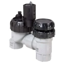 Rain Bird Anti-Siphon Valve 1 In. 150 Psi