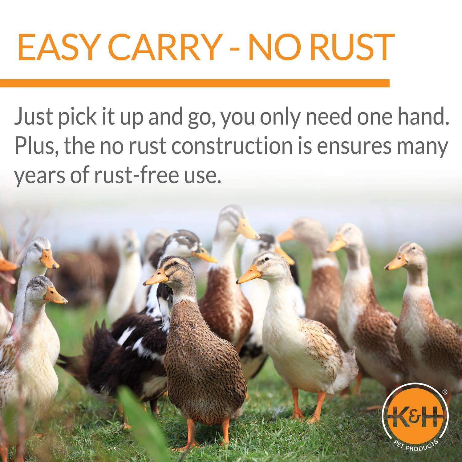 K&H Pet Prodcuts 120 V Fount Heater Base For Game Birds/Poultry 4 K&H Pet Prodcuts 120 V Fount Heater Base For Game Birds/Poultry - Image 4