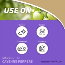 Bonide Hot Pepper Wax Animal Repellent Spray For Most Animal Types 32 Oz -Toro Shop 9aaca5c8 81c9 4111 b30a 393be0a3f880