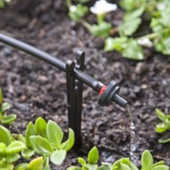 Raindrip Spot Drip Irrigation Dripper 0.5 Gph 50 Pk 11 Raindrip Spot Drip Irrigation Dripper 0.5 Gph 50 Pk -Toro Shop 9bf72fee 12d6 4a6b 9362 1b16574f0dd4