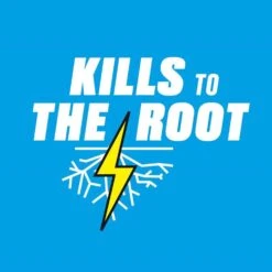 Ortho GroundClear Weed And Grass Killer Concentrate 32 Oz -Toro Shop 9dab520d 5d94 4cce 816c 896556d57f62