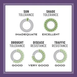 Pennington Smart Seed Mixed Dense Shade Grass Seed And Fertilizer 3 Lb -Toro Shop 9eb355dd b7c0 4519 bc84 04e9eca5ce4a