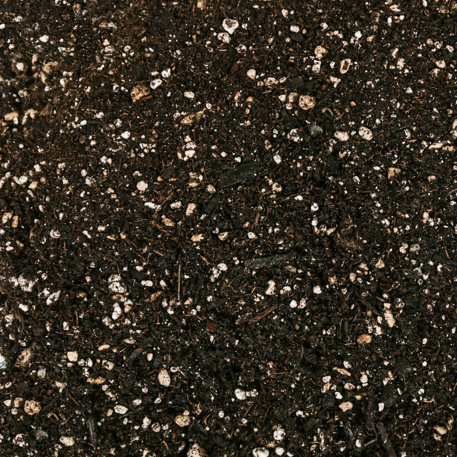 Mother Earth Groundswell All Purpose Potting Soil 12 Qt 2 Mother Earth Groundswell All Purpose Potting Soil 12 Qt - Image 2