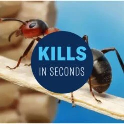 BioAdvanced Insect Killer Liquid 1 Gal -Toro Shop a24dba49 6a2a 45b5 a721 a08ed6fb5223