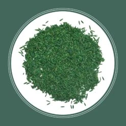 Pennington Kentucky 31 Tall Fescue Grass Sun Or Shade Grass Seed 20 Lb -Toro Shop a2fa8047 a401 4429 a8f3 75dab5e60bf5