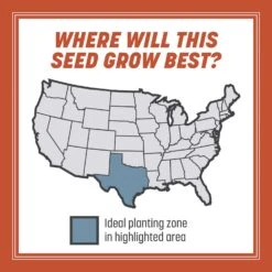 Pennington Smart Seed Texas Bermuda Full Sun Grass Seed And Fertilizer 8.75 Lb -Toro Shop a338817d 0239 40b3 b757 a08af6207344