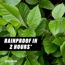 Ortho GroundClear Poison Ivy Killer Concentrate 32 Oz -Toro Shop a4cd5d8f 8b17 4349 a370 f0004274843b