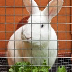 IronRidge 24 In. H X 25 Ft. L Galvanized Steel Welded Wire Fence 1 In. -Toro Shop a620f6e0 ce4b 46ad a244 61a0969a0df2